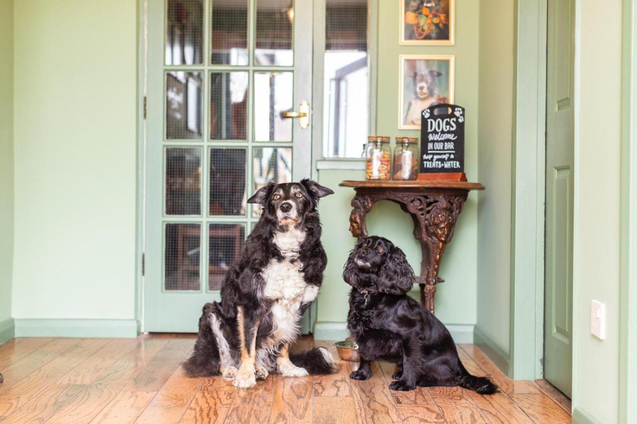 Bed & Breakfast The Fromeway Radstock